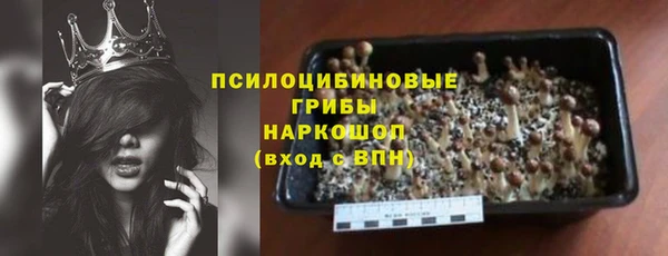прущая мука Елабуга