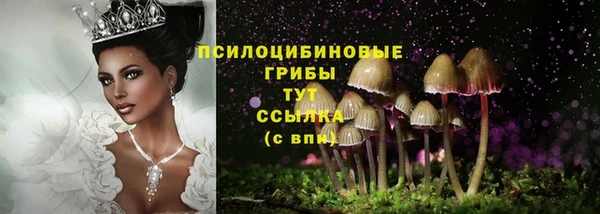 прущая мука Елабуга